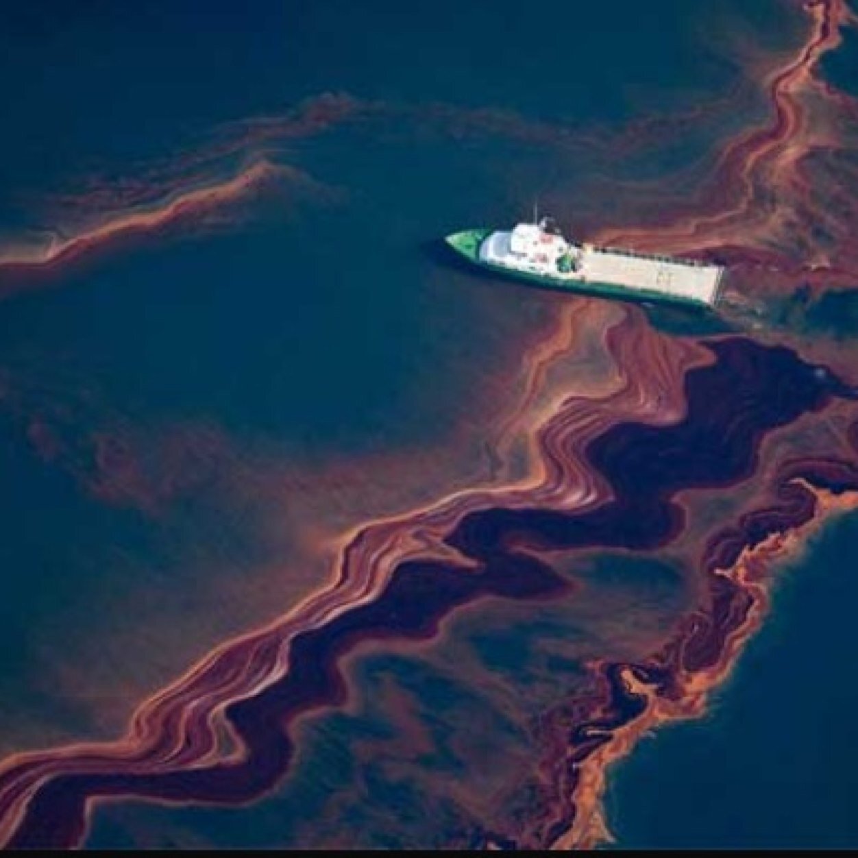 BPOilSpills's profile picture. 