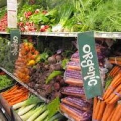 All your organic needs in one place.