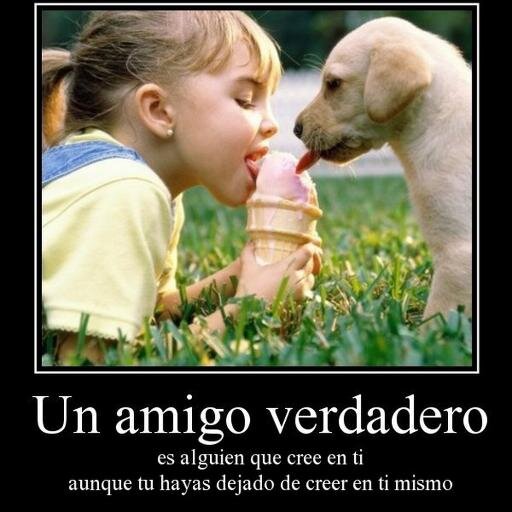 Amo a mis seguidores.A las beliebers yessssss