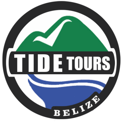 TideTours's profile picture. We are a premier ecotour operator in Southern Belize!

Insta: @tidetoursbelize