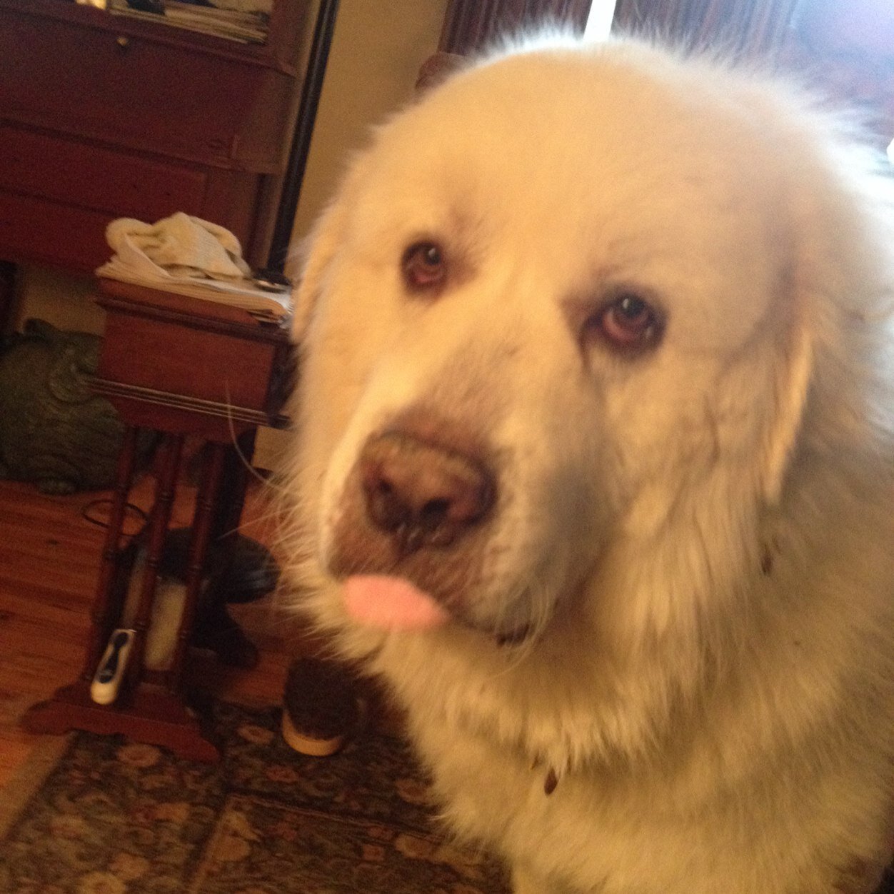 Now the guardian of the Rainbow Bridge.