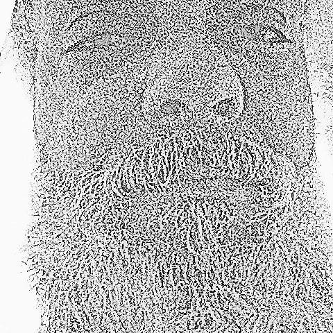 NiceAndEasyYow's profile picture. 