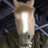 unnaturalforces's profile image