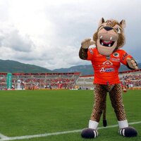 The World Stadium (@world_stadiium) 's Twitter Profile Photo