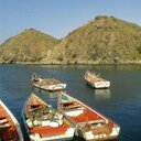 Julio Marcano - @jcmarcanos - Twitter