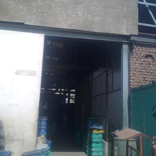 netflix_new's profile picture. Unofficial automated feed of all the new releases (DVD and Instant).