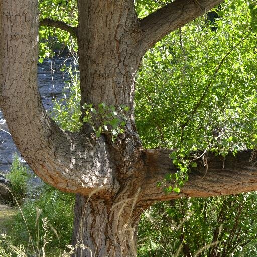 WoodyMarcia's profile picture. 