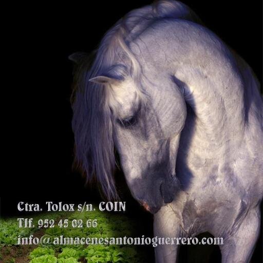 alguerrero10's profile picture. Almacén en Coín, dedicado a la agricultura, ganadería, equinos, mascotas y mucho mas, ven a conocernos
WhatsApp 695481975