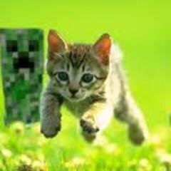 danielmen00's profile picture. 