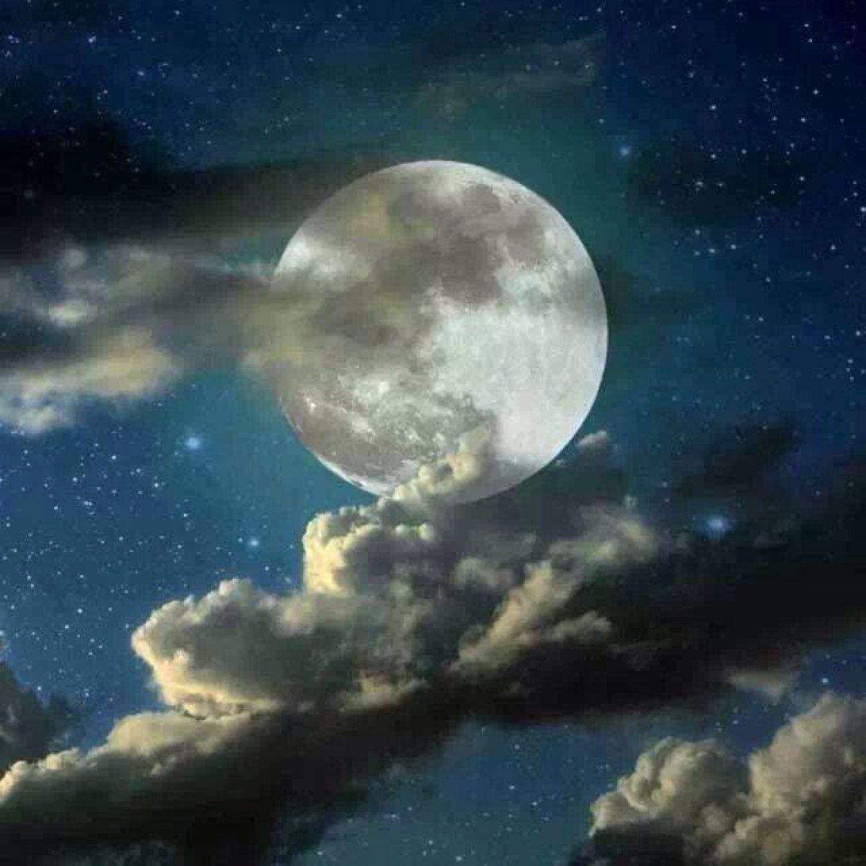 medijarl's profile picture. Maestra por convicción jardinera por decisión.