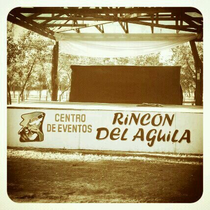 AguilaRincon's profile picture. 