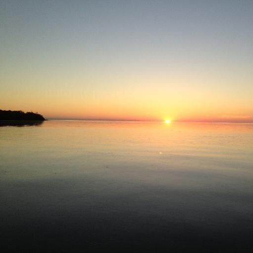 KristyReinhartz's profile picture. 