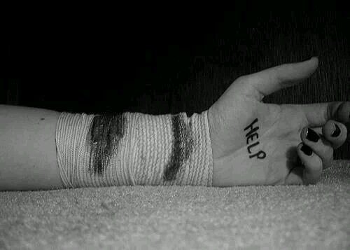quotes. pictures. advices. you're not alone.