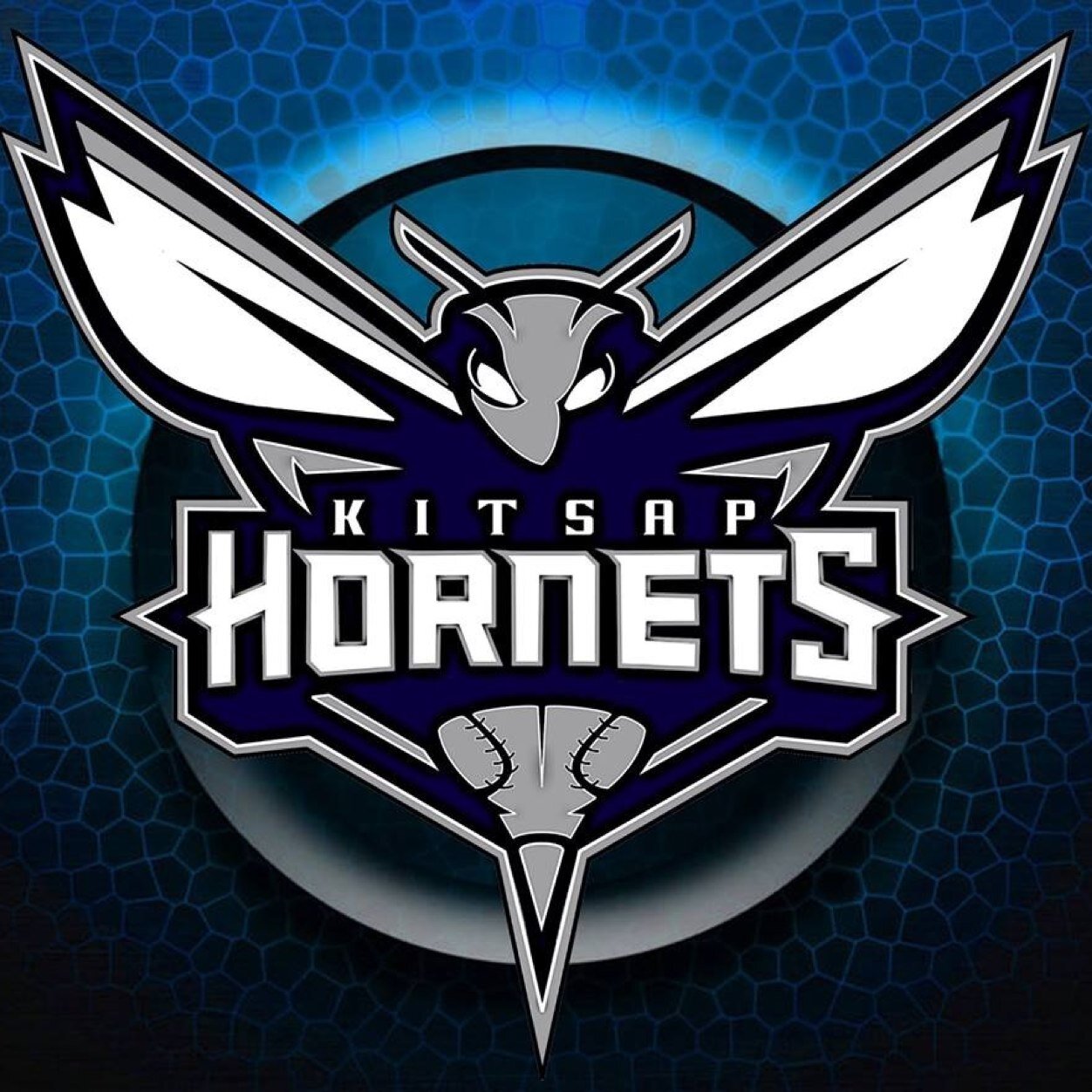 The Official Twitter page of the Kitsap Hornets Baseball Club. ATM