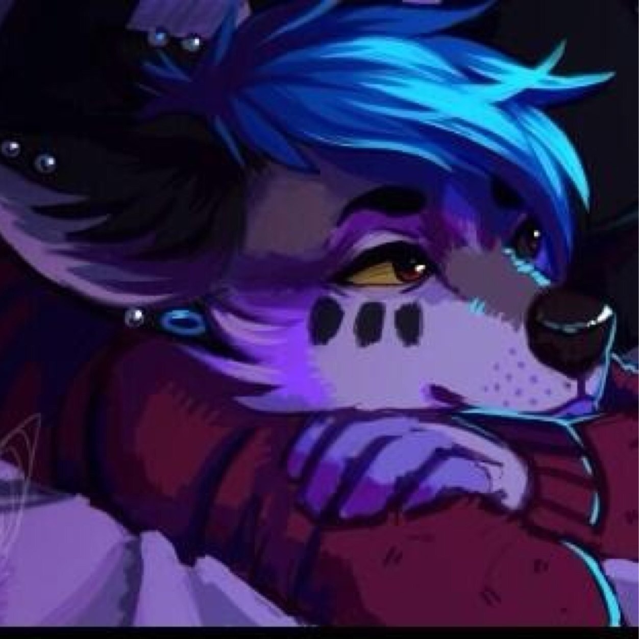 Im taken by @Jake_The_Furry touch her and die. Im bi but pefer men, but rose is an exception. Im madly in love with her. Im also father to my Blake.