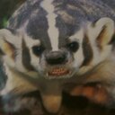 Tom Beeson - @TAB_Newark - Twitter