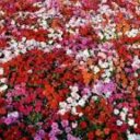 rawan (@11rrrwww) Twitter