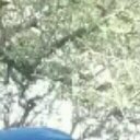 Greg Whiteley - @WhiteleyGreg - Twitter