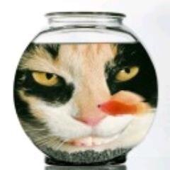 Нейрохирург, Военнослужащий, Приколы и вызывание смеха у людей, Барыга