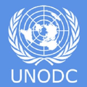 IMUN_UNODC's profile picture. 