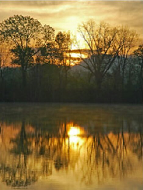 redneckbabe96's profile picture. love country boys, camo, beer, tailgates, four-wheelin, and night swimming