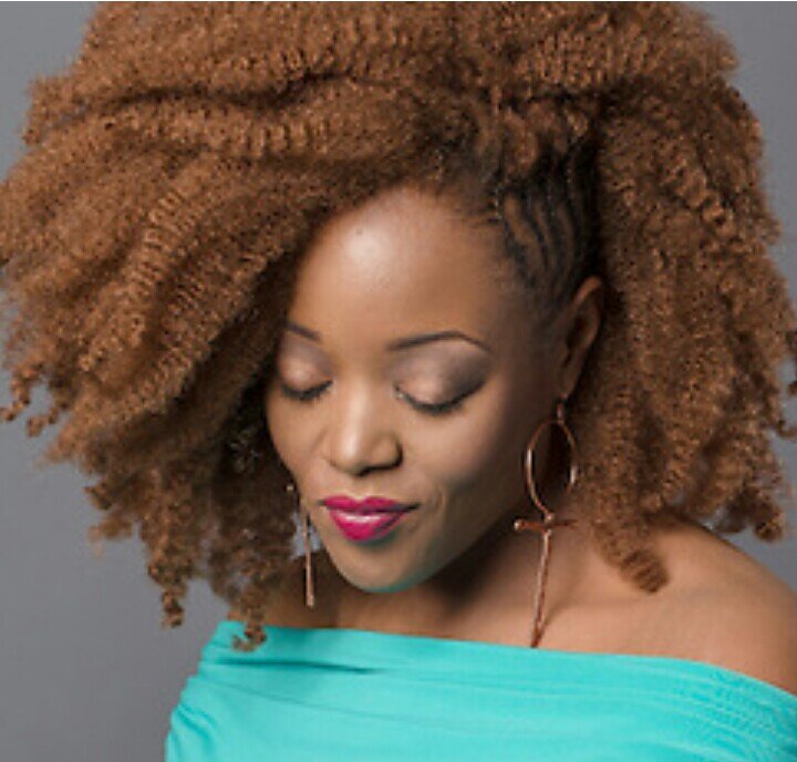 Located in Chicago's Hydepark neighborhood . Shavon Akhan offers a private, intimate, serene, and professional Natural Hair styling experience.