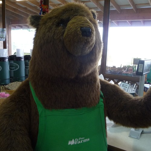 firpointfarms's profile picture. We are a year round produce stand and farm fun destination!