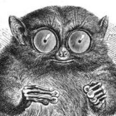 anthropoid_co's profile picture. a Literary Collective of the humanesque.