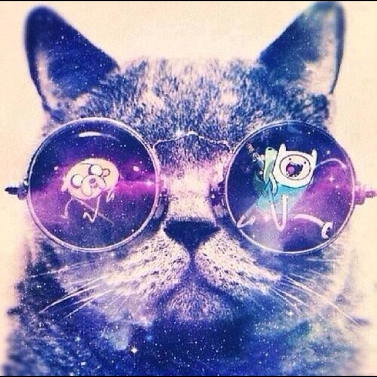 pandaskg3's profile picture. skate. sleep. die.