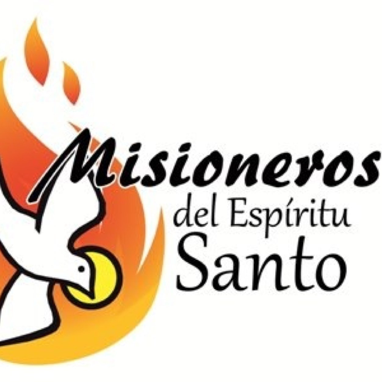 Ministerio de Evangelización Católico Misioneros del Espíritu Santo, somos jóvenes que trabajamos impartiendo Retiros Espirituales y Adoraciones Eucarísticas.