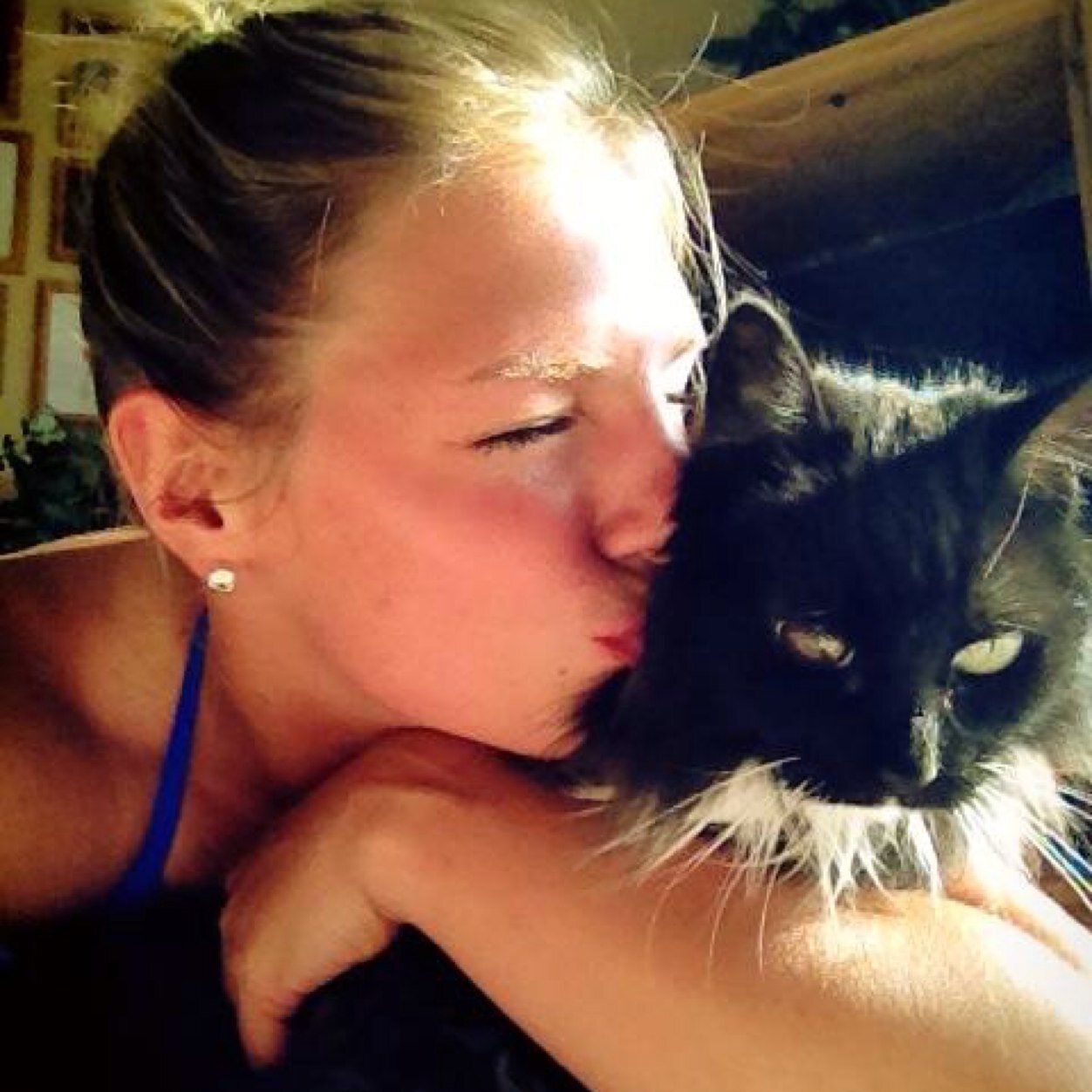 K1Stell's profile picture. Blended, not shaken