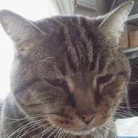 high190 (@high190) 's Twitter Profile