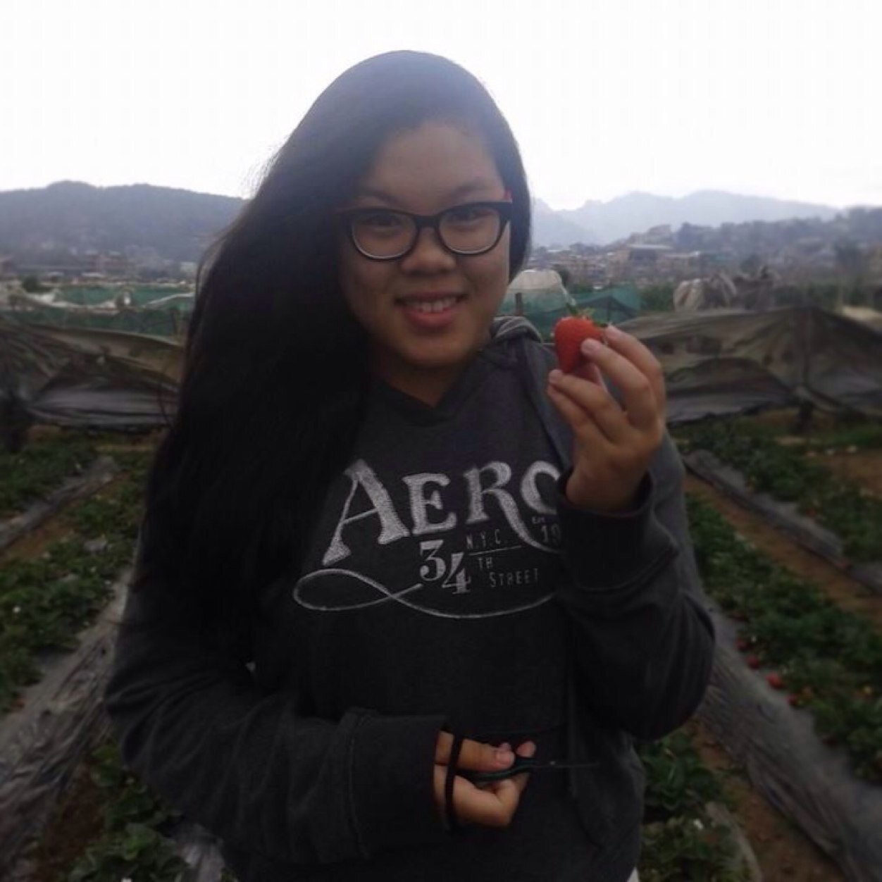 winiedirectione Profile Picture