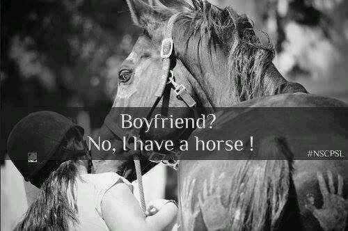 lintucom112's profile picture. 