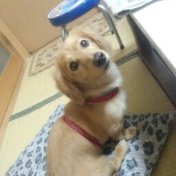 NewS大好き～テゴマス大好き～
NewS友達、いっぱい友達になって、魂、舞台で、盛り上がりた～い！