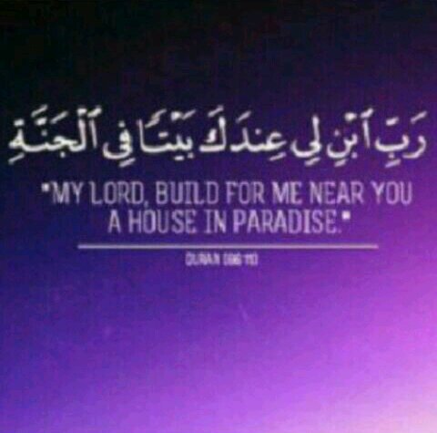 سبحان الله وبحمده ، سبحان الله العظيم ❤️.