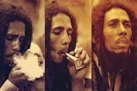 The City is mine |	College kid |	Smoke trees |