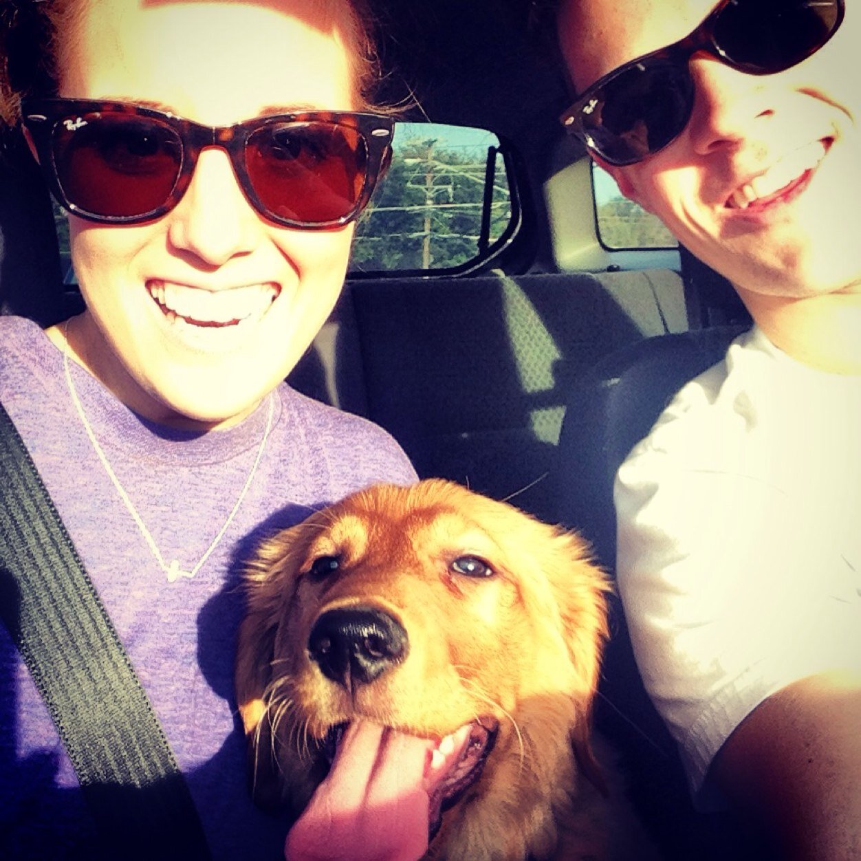 JenniferFerrans's profile picture. 