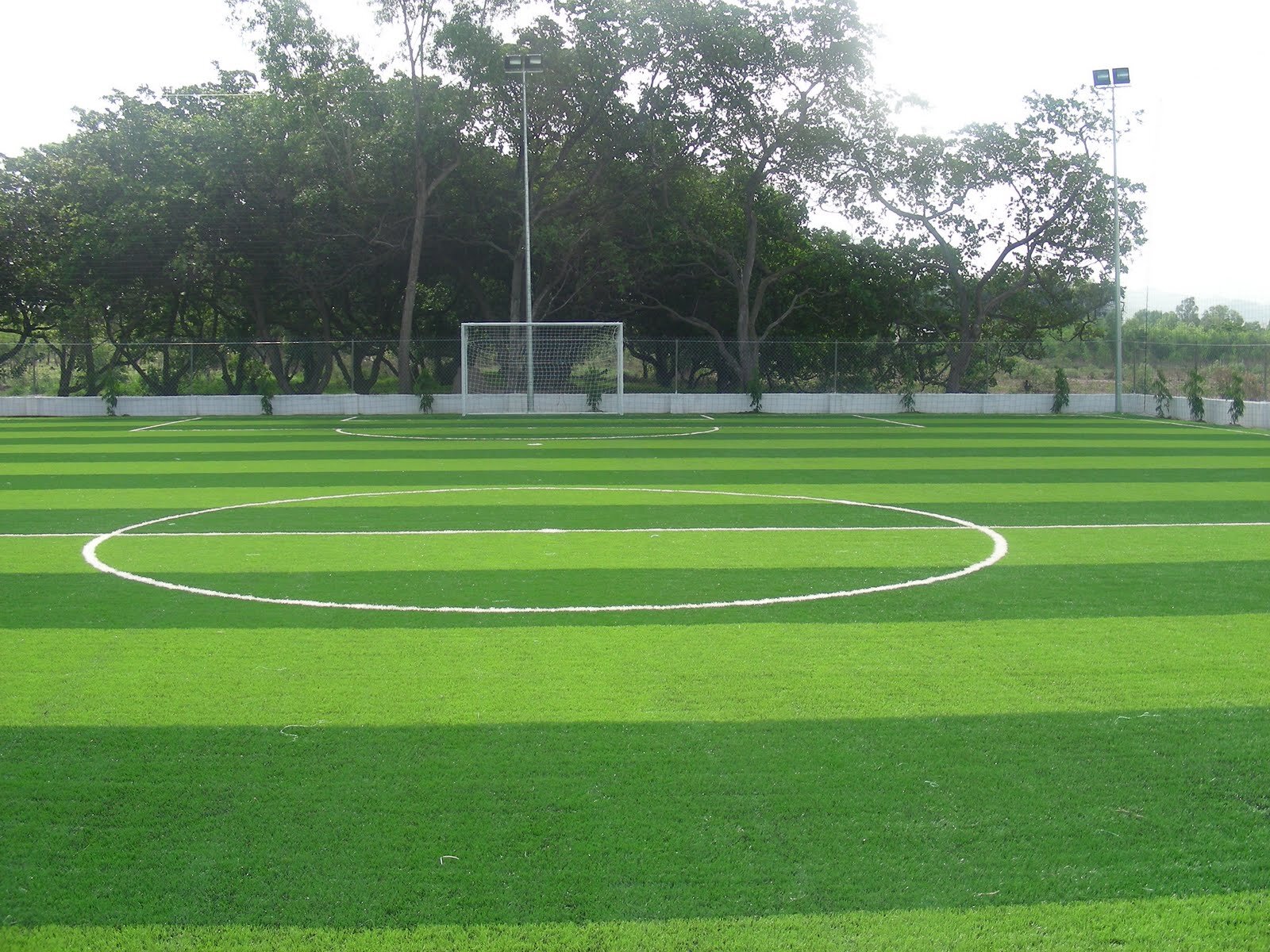 cosanvuon's profile picture. 