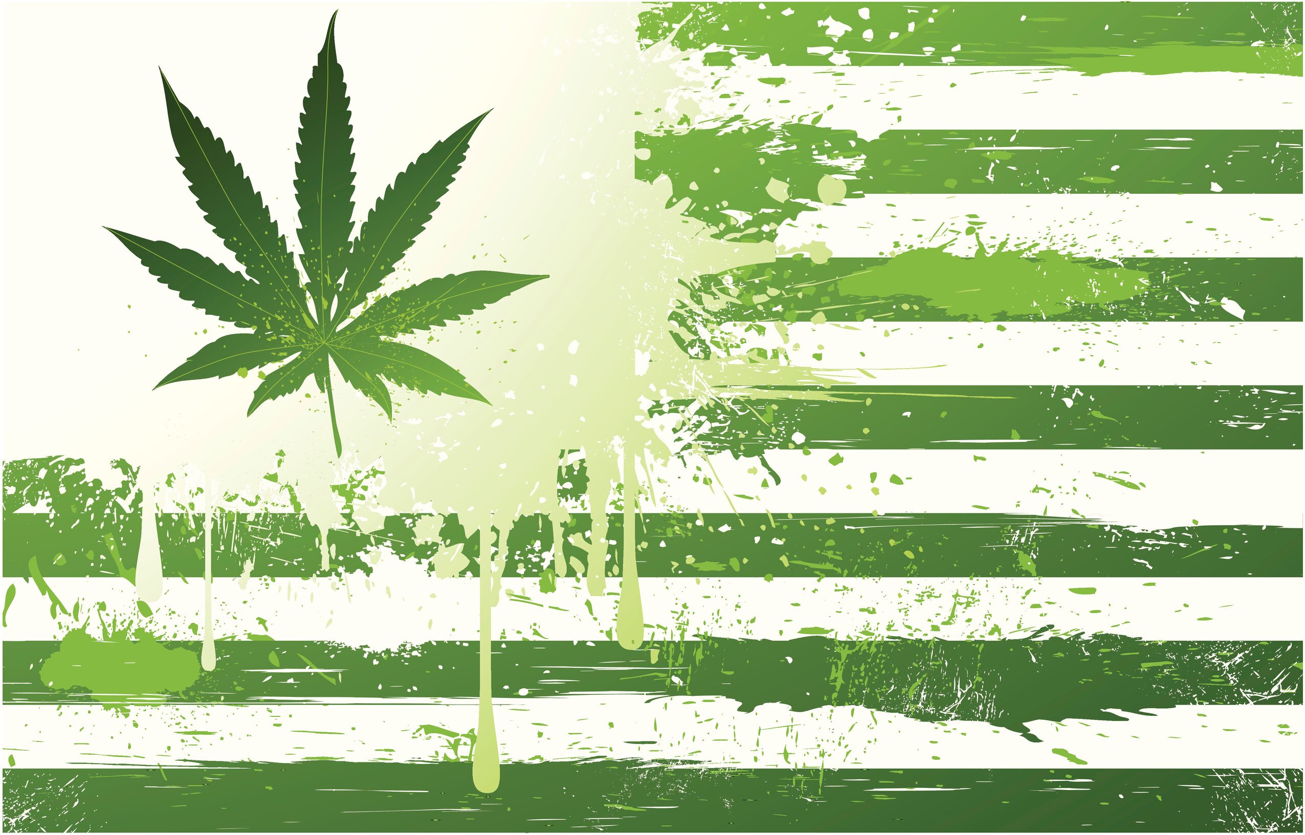 Father, blogger, and marijuana enthusiast... Fill in the blanks