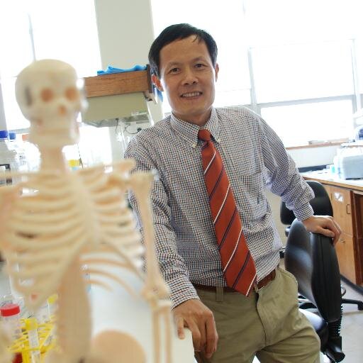 Professor of Bone Research