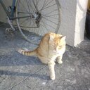 Kiera Williamson - @FantasyBluebird - Twitter