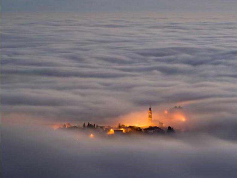 FamileAliyeva's profile picture. 