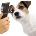 TONOVET tonometer (@tonovet_icare) Twitter profile photo TONOVET tonometer (@tonovet_icare) Twitter profile photo
