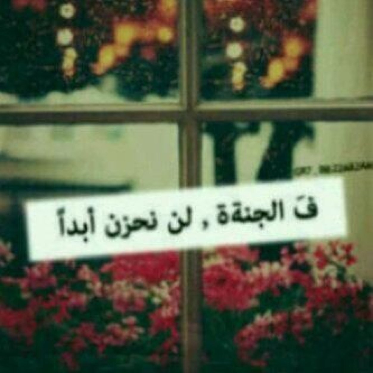 لعله يشفع لي بقبري  :(