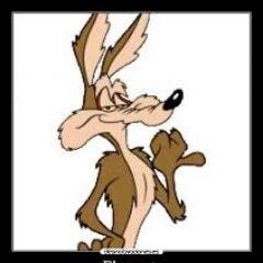 felgomo's profile picture. DISFRUTA EL PRESENTE