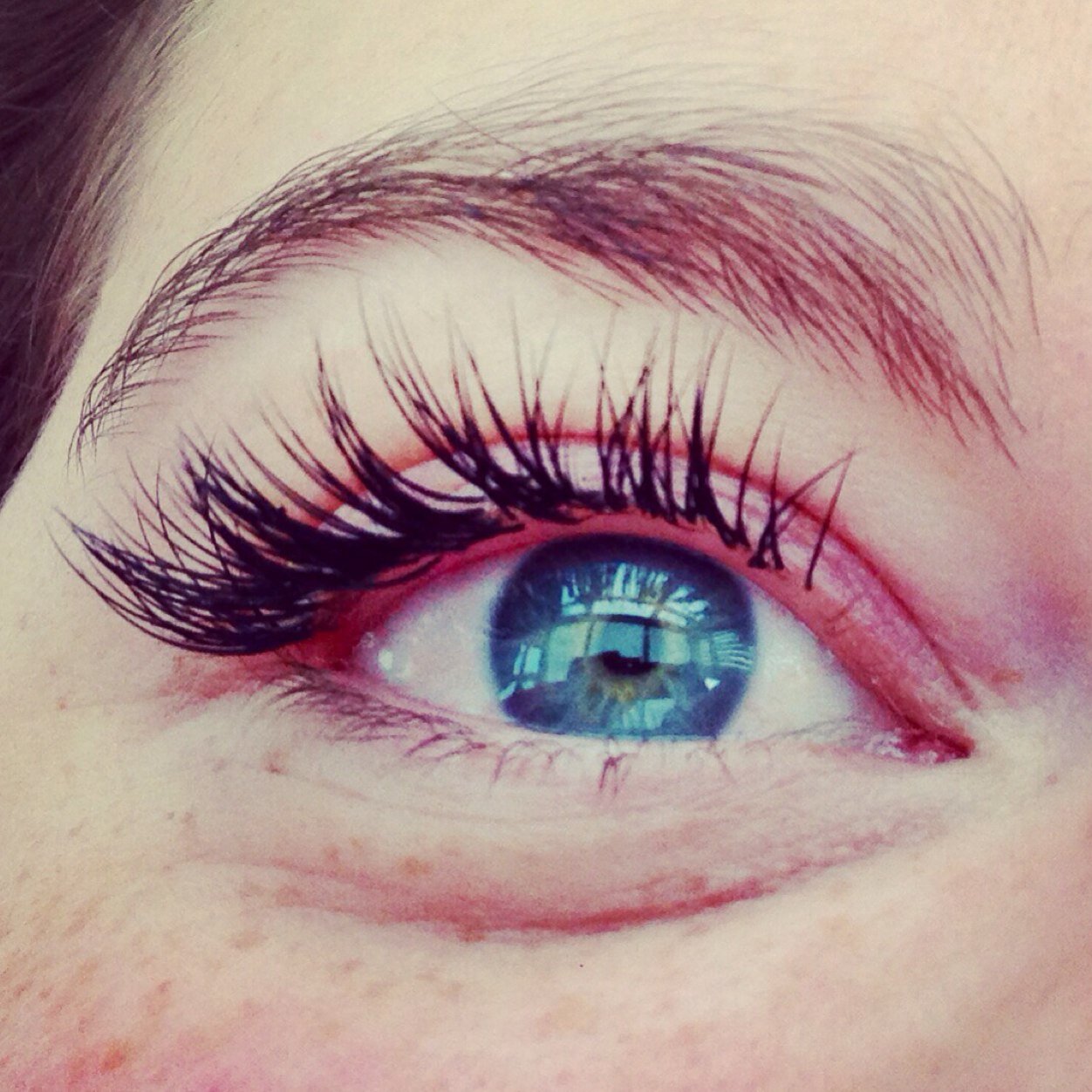 Flutter Eyelashes (Eyelash_Flutter) Twitter