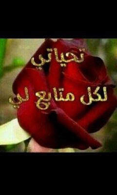 halamoon12's profile picture. ليس كل مآ آكتبہ تحت آسمي دائمإآ ترجمھٌ لأحآسيسي وليس كٌل مآ أرسلہ..حكآيہ عن واقعي إنمإآ هي ( كلمإآت ) رآقت لي وقد يحتإآجہإ غَيّرِي