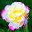 Profile Picture of رُجل بِطًعمہ أُلموُت (@@adamdea166) on Twitter