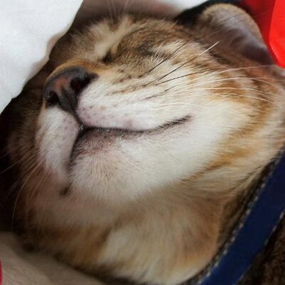 ４ポンド。